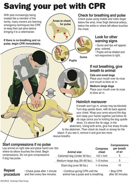 Pet CPR Reference